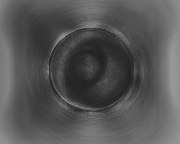 X0000111941226200908101155