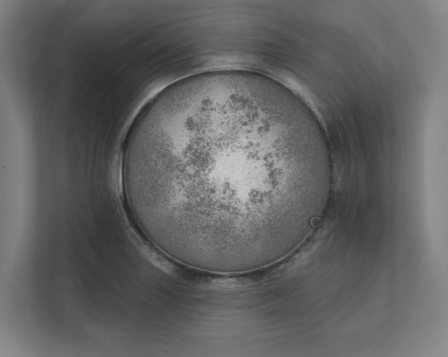 X0000111941227200908101155