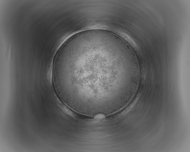 X0000111941228200908101155