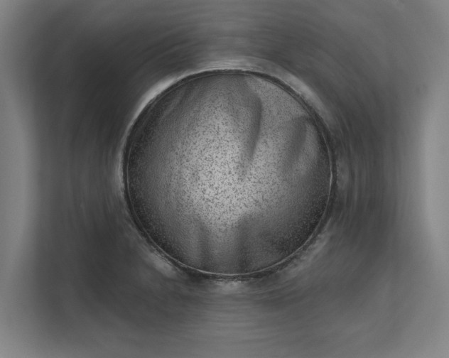 X0000111941230200908101155