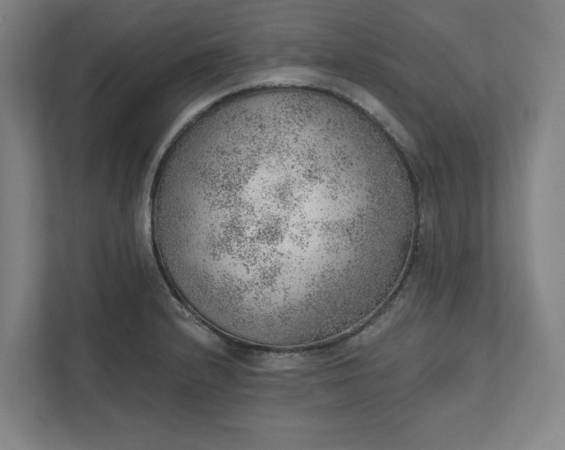 X0000111941232200908101155