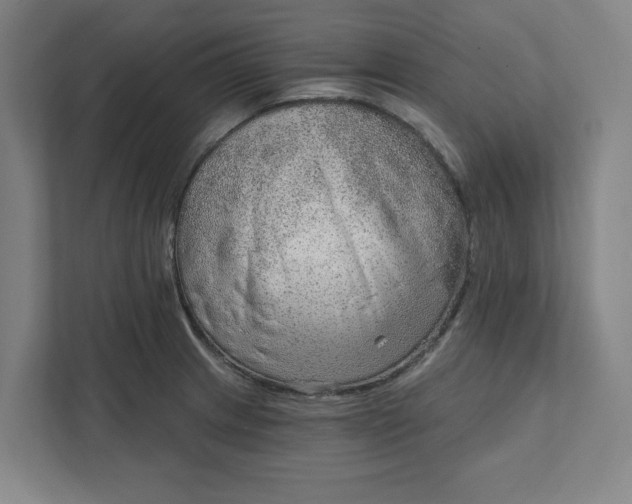 X0000111941233200908101155