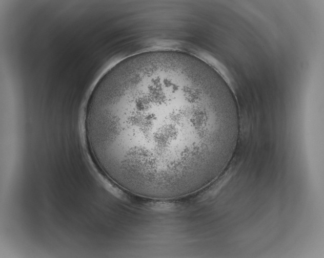 X0000111941235200908101155