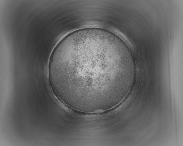 X0000111941236200908101155