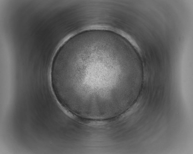 X0000111941237200908101155