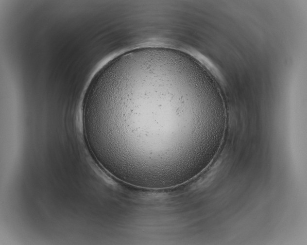 X0000111941238200908101155