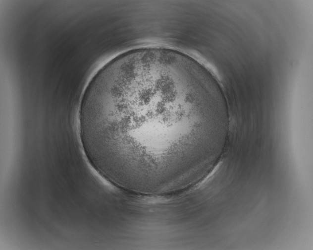 X0000111941239200908101155