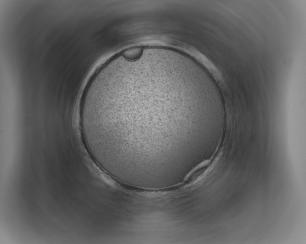 X0000111941240200908101155