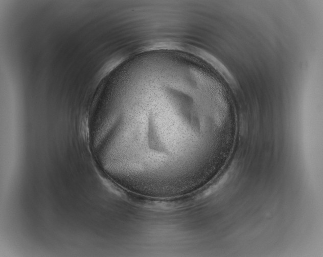 X0000111941241200908101155