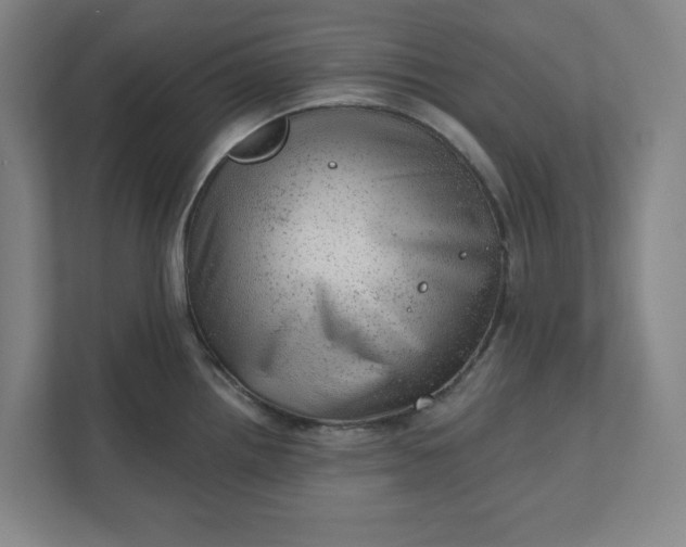 X0000111941242200908101155