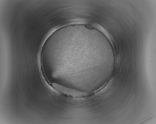 X0000111941243200908101155