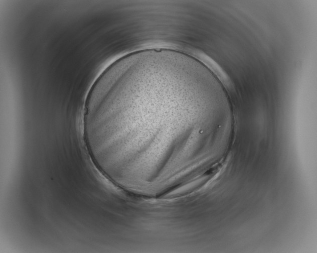 X0000111941244200908101155