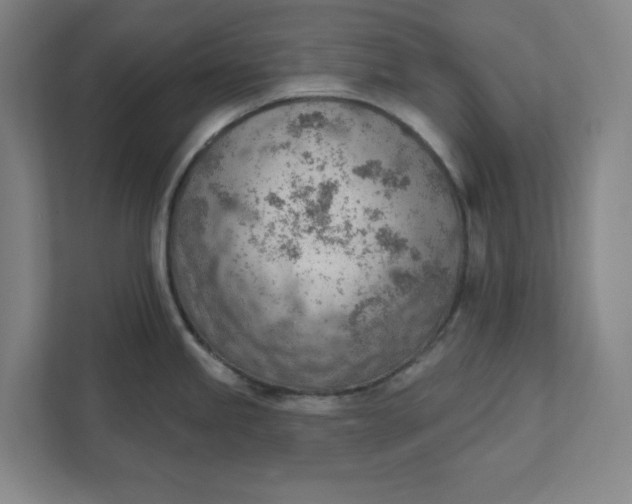 X0000111941245200908101155