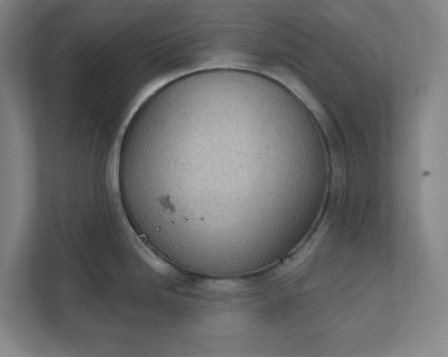 X0000111941246200908101155