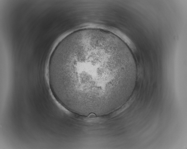 X0000111941247200908101155