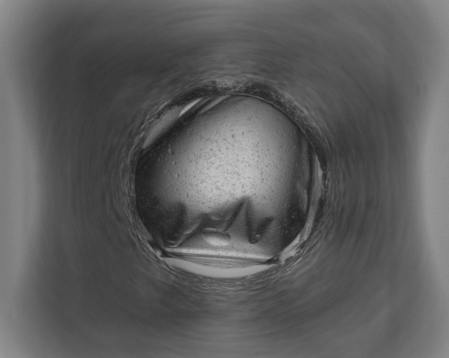 X0000111941249200908101155