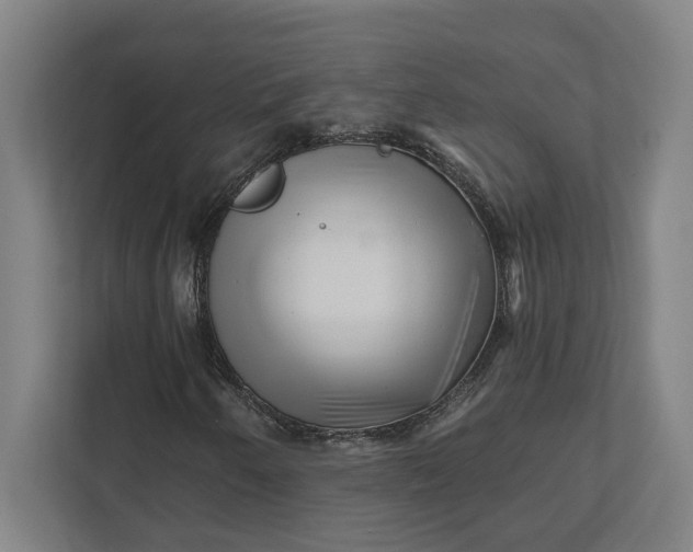 X0000111941250200908101155