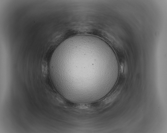 X0000111941251200908101155