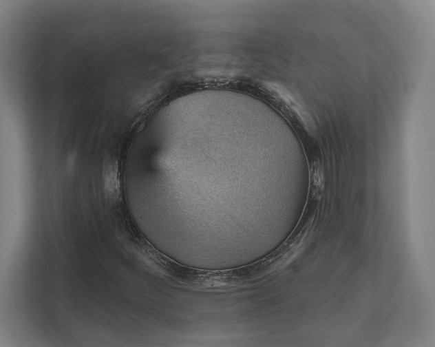 X0000111941252200908101155