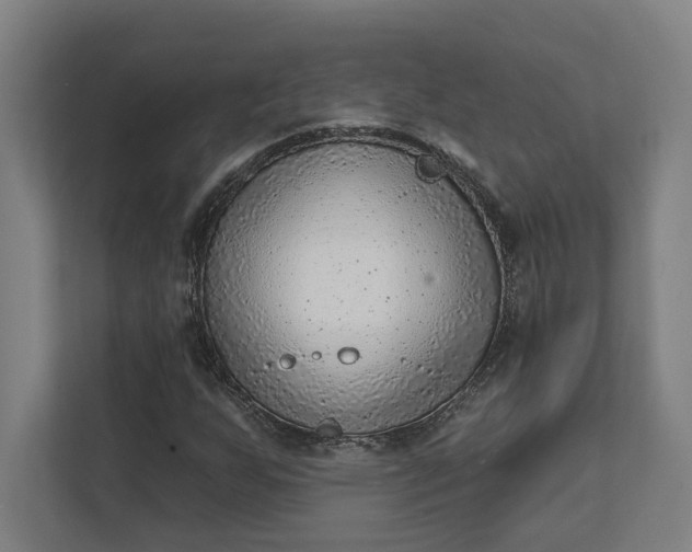 X0000111941255200908101155