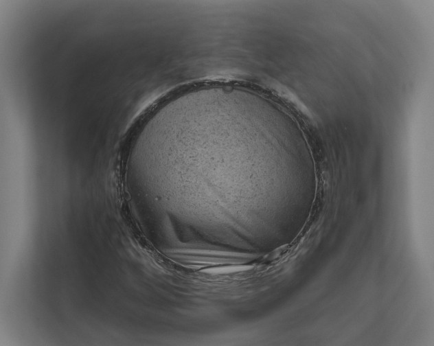 X0000111941256200908101155