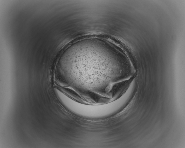 X0000111941257200908101155