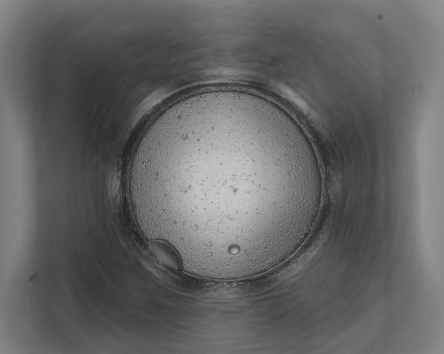 X0000111941259200908101155