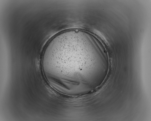 X0000111941260200908101155