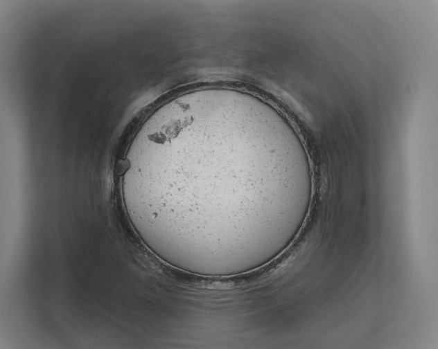 X0000111941261200908101155