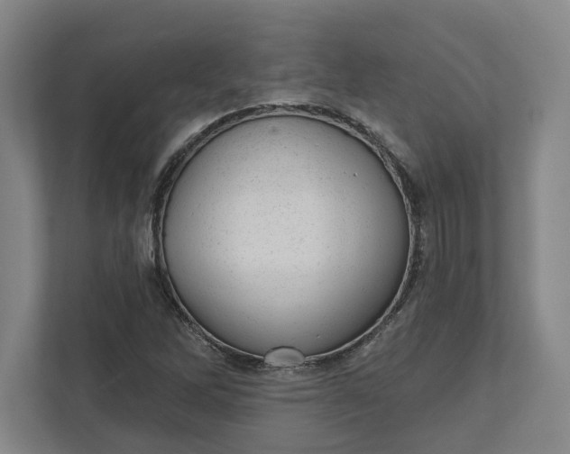 X0000111941262200908101155