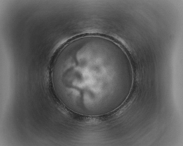 X0000111941263200908101155