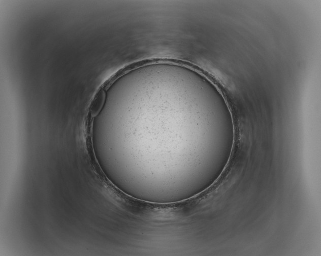 X0000111941264200908101155