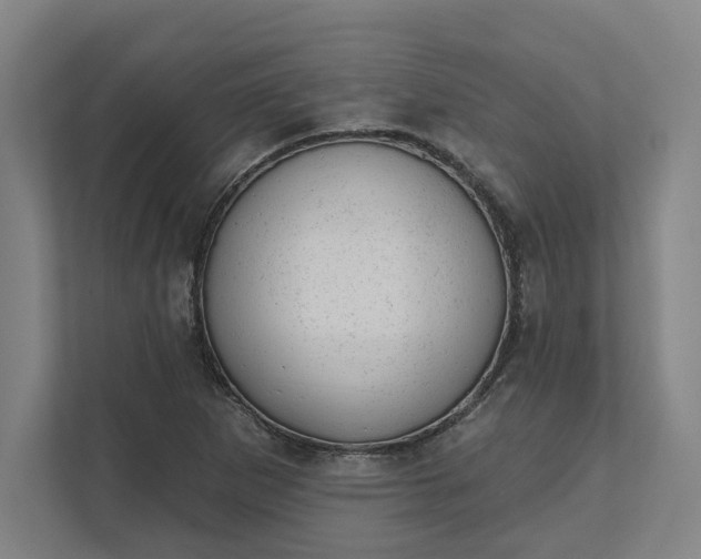 X0000111941265200908101155