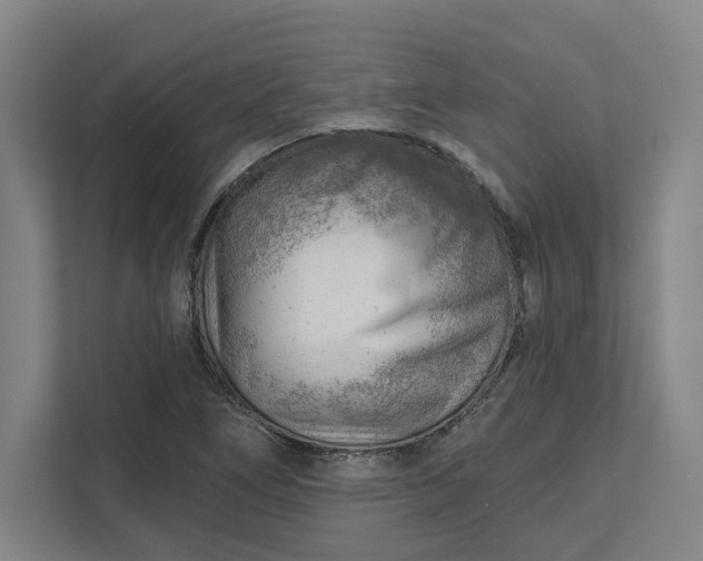 X0000111941266200908101154