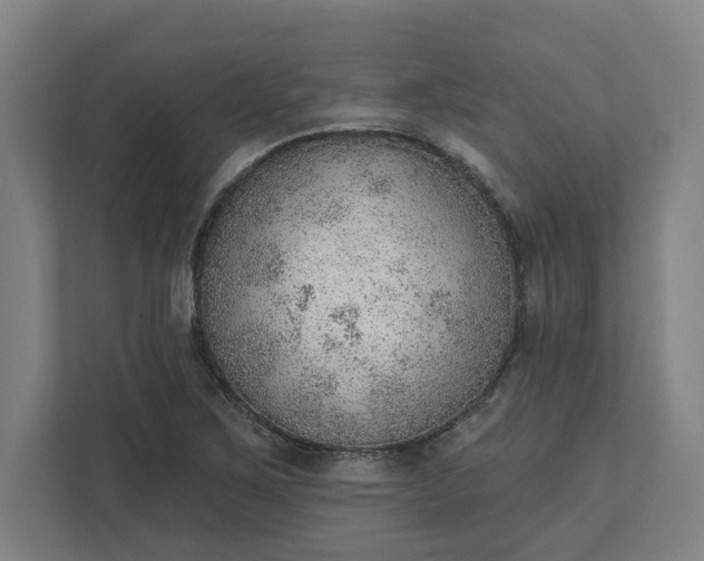 X0000111941267200908101154