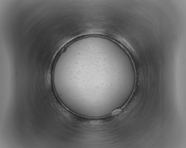 X0000111941268200908101154