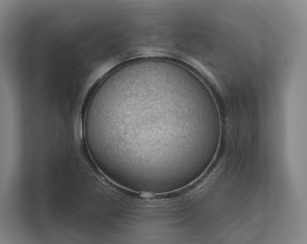 X0000111941269200908101154