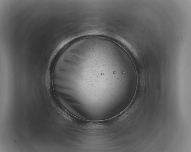 X0000111941270200908101154