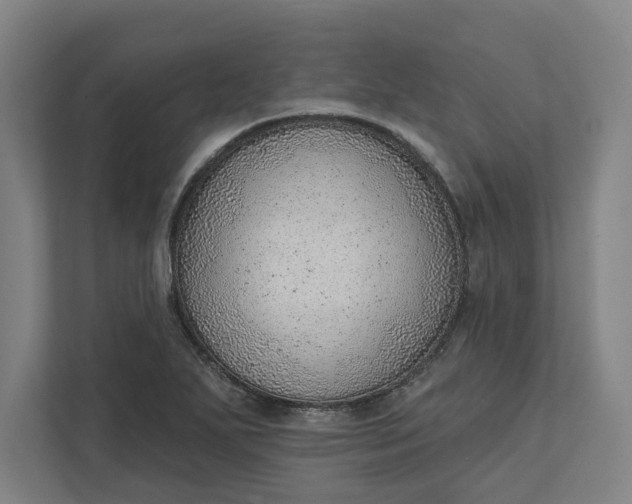 X0000111941271200908101154