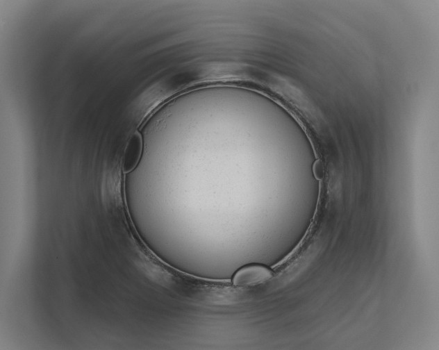 X0000111941273200908101154