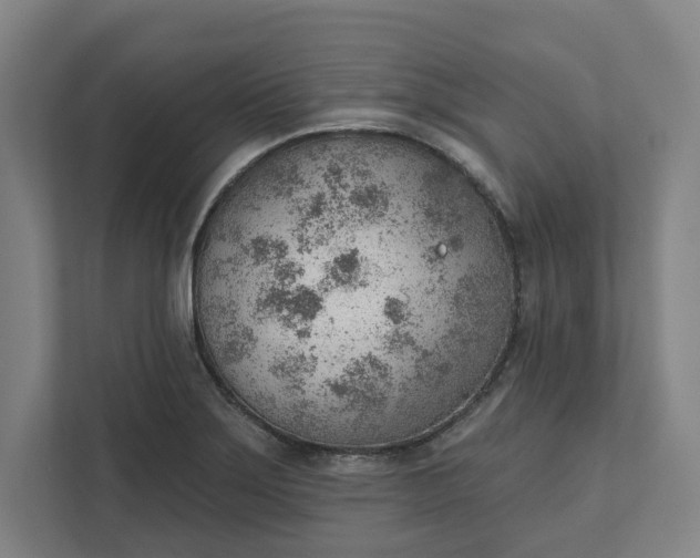 X0000111941275200908101154