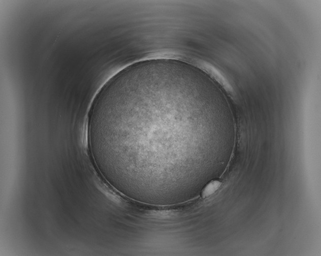 X0000111941276200908101154