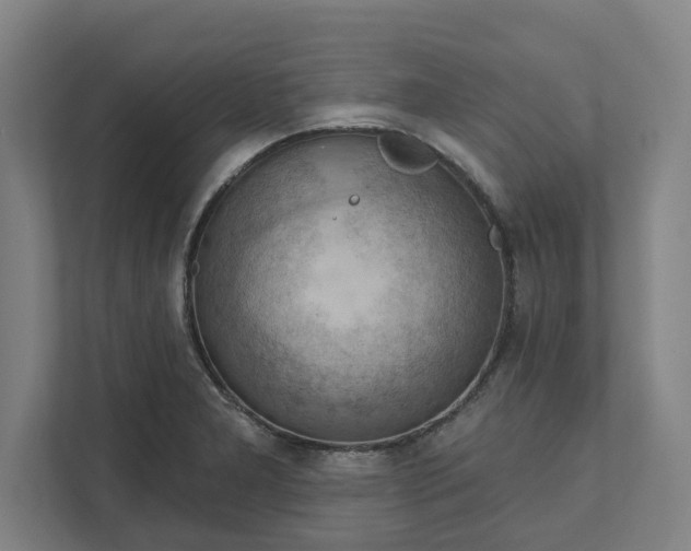 X0000111941277200908101154