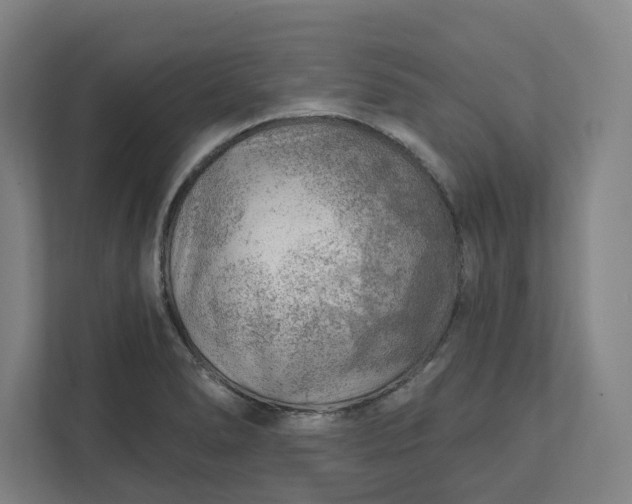 X0000111941278200908101154