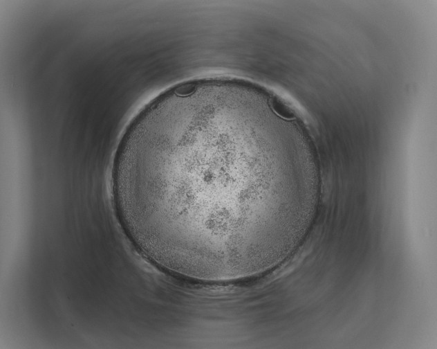 X0000111941279200908101154