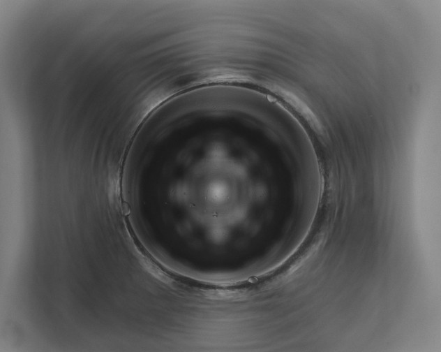 X0000111941281200908101154