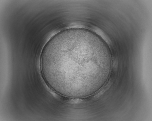 X0000111941282200908101154