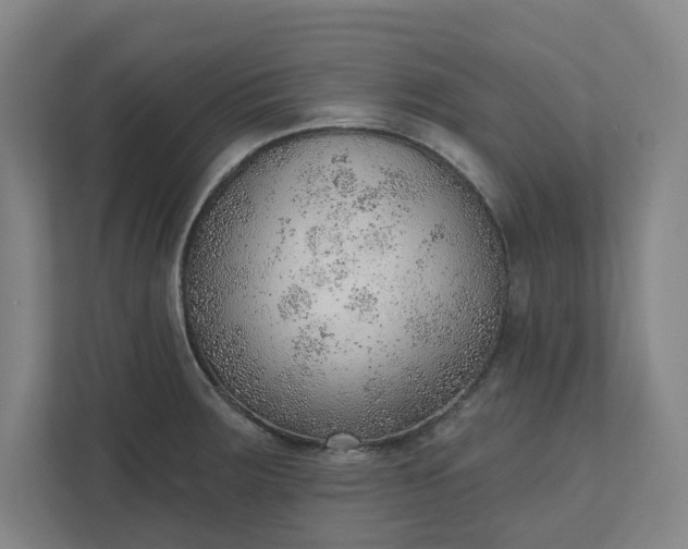 X0000111941283200908101154