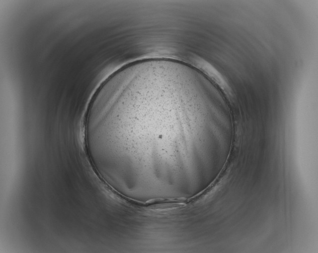 X0000111941284200908101154