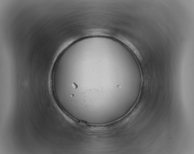 X0000111941285200908101154